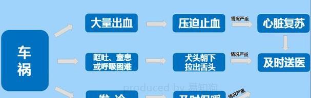 天冷爱犬发冷原因与保暖应对方法(图2)