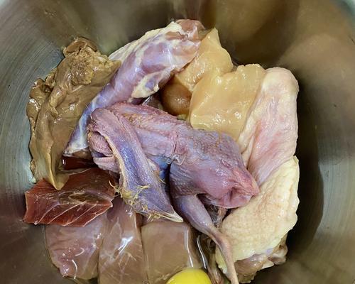 怀孕拉布拉多犬饮食禁忌清单，保障母犬与幼犬健康(图1)