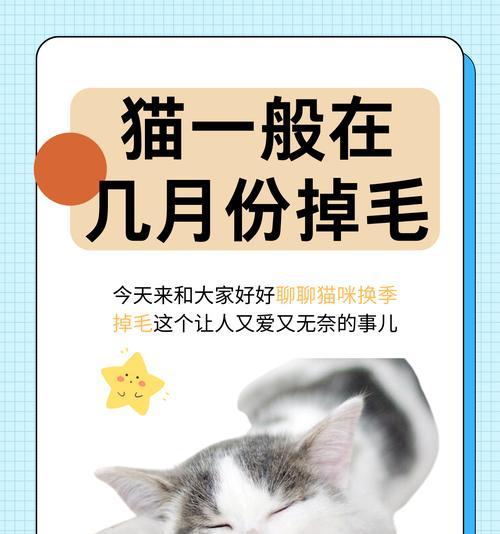 养猫对儿童成长的益处：责任、情感与健康的多维影响 - 悠悠酷狗网