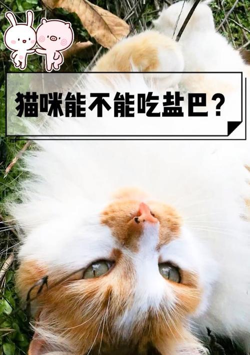 小猫何时可以摄入盐分？了解盐需求与健康风险，保障幼猫健康(图1)