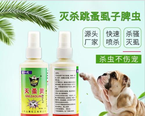 有效治疗与预防狗狗跳蚤的药物选择指南(图2)