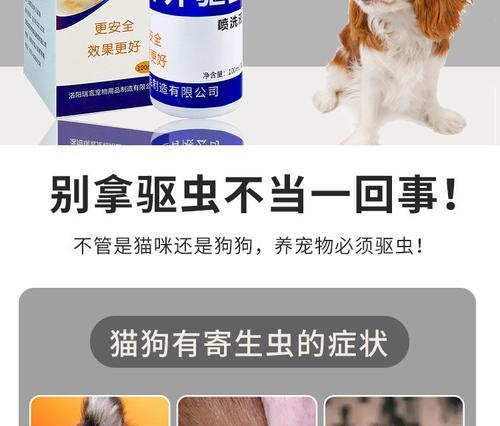有效治疗与预防狗狗跳蚤的药物选择指南 - 悠悠酷狗网