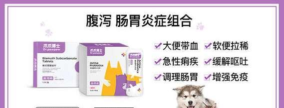 狗狗误食后呕吐怎么办？安全用药与护理指南(图2)