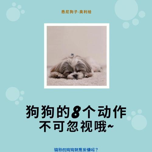 为什么狗狗会抓地板并叫？行为解析与原因探索(图2)