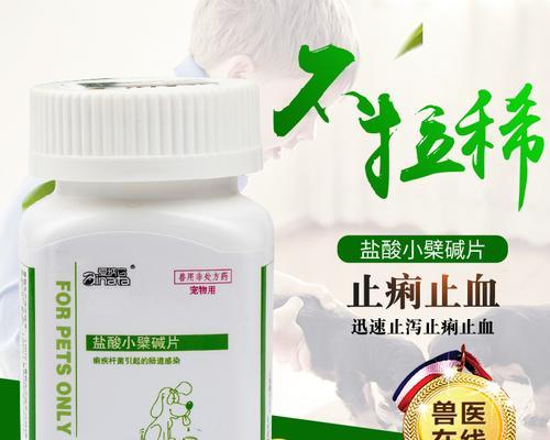 腹泻出血怎么办？药物治疗与调养关键解析 - 悠悠酷狗网