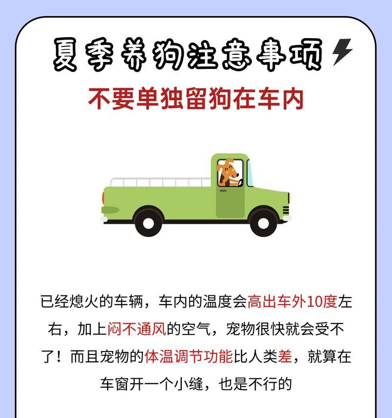 春季科学养狗注意事项与健康护理指南