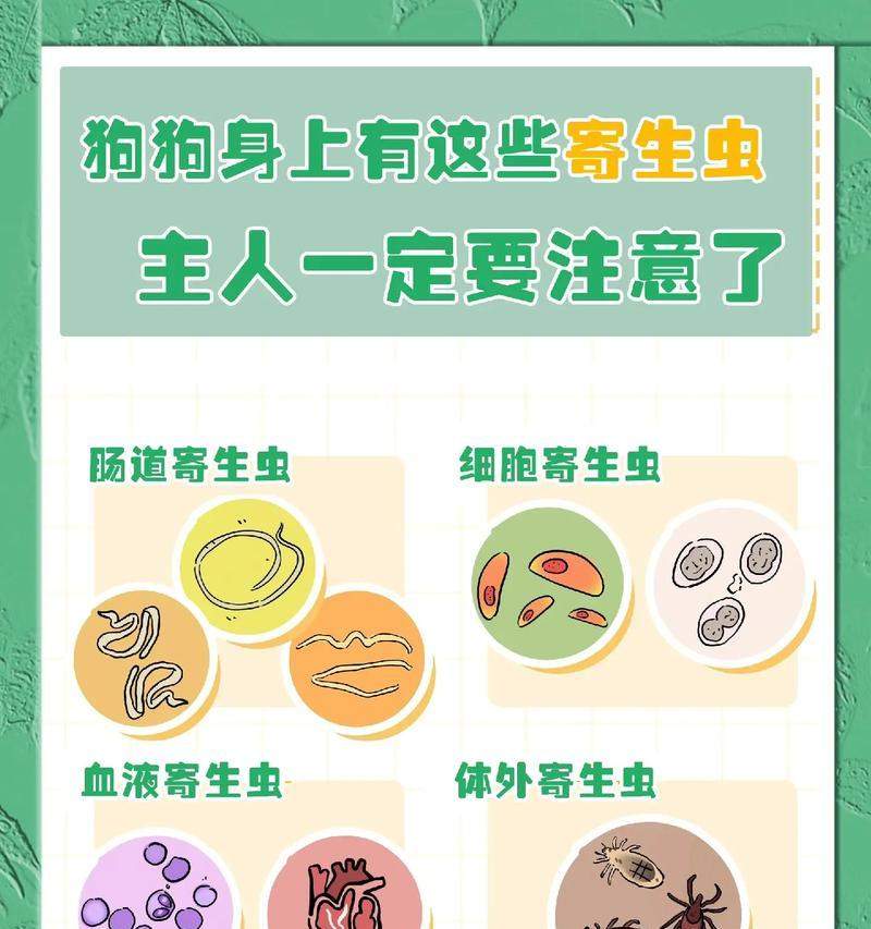 春季科学养狗注意事项与健康护理指南(图2)