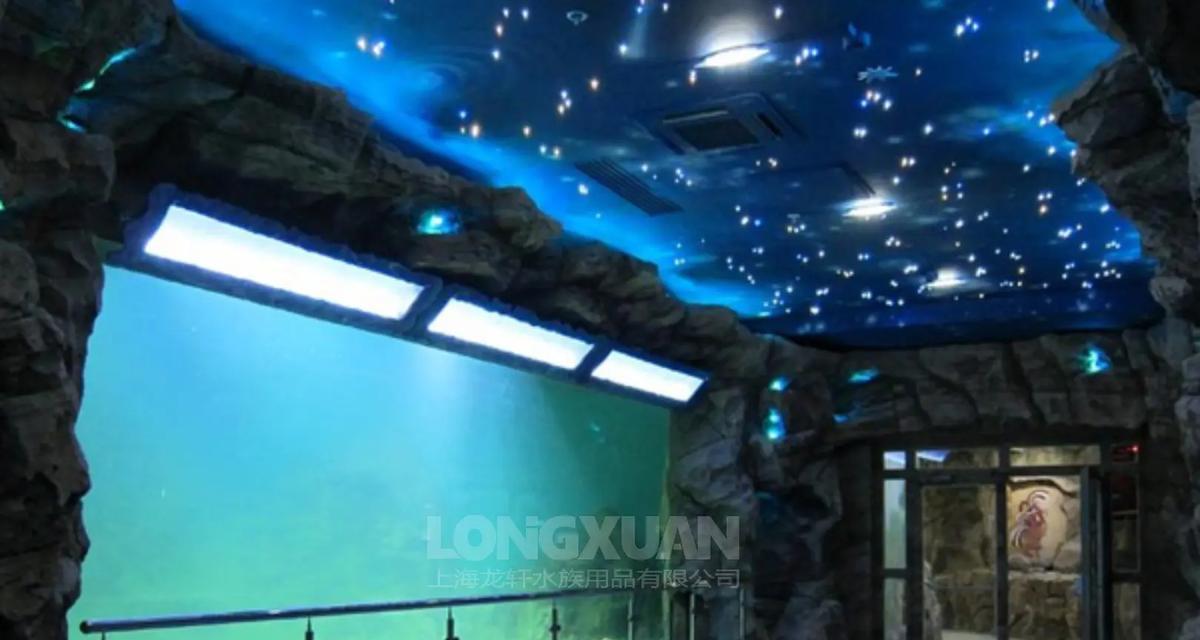 鱼缸清理（饲养水族宠物，从鱼缸清洁开始） - 悠悠酷狗网