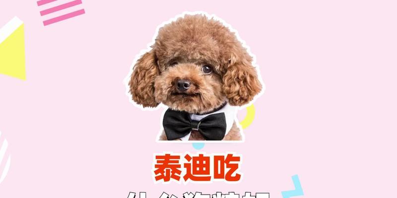 探秘泰迪狗的增肥食谱（为你的泰迪狗提供健康的增重饮食方案） - 悠悠酷狗网