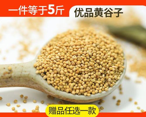 黄雀与苏子的故事（黄雀的聪明与机智）(图3)