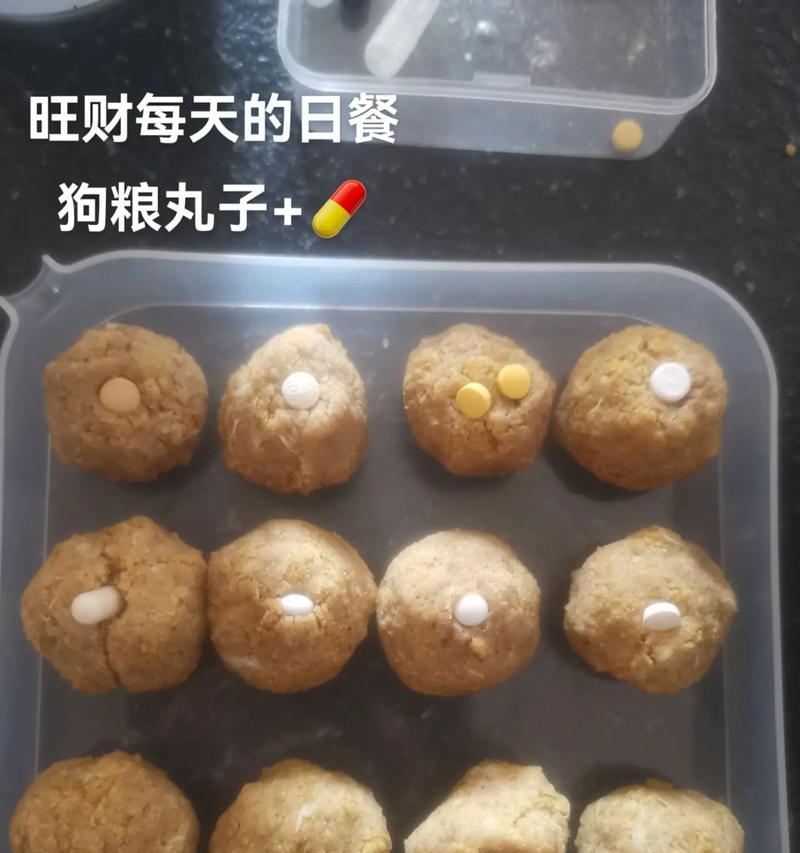 小狗不吃狗粮怎么办？15种营养均衡的替代食物推荐（解决小狗不吃狗粮的麻烦问题，让它们获得健康成长）(图3)