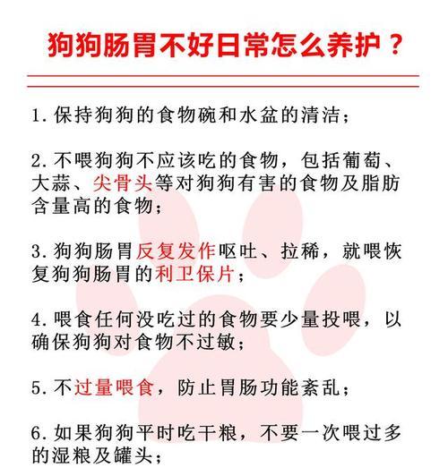如何为有肠胃问题的狗狗选择合适的食物？（一份详细的饮食指南让你的狗狗肠胃健康）(图1)
