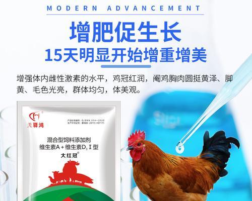 边牧美毛的秘密武器（揭秘边牧美毛的饮食秘籍）(图2)