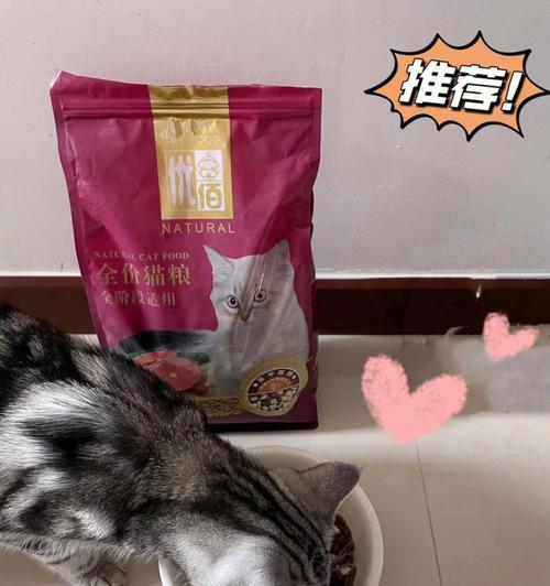 边牧美毛的秘密武器（揭秘边牧美毛的饮食秘籍） - 悠悠酷狗网