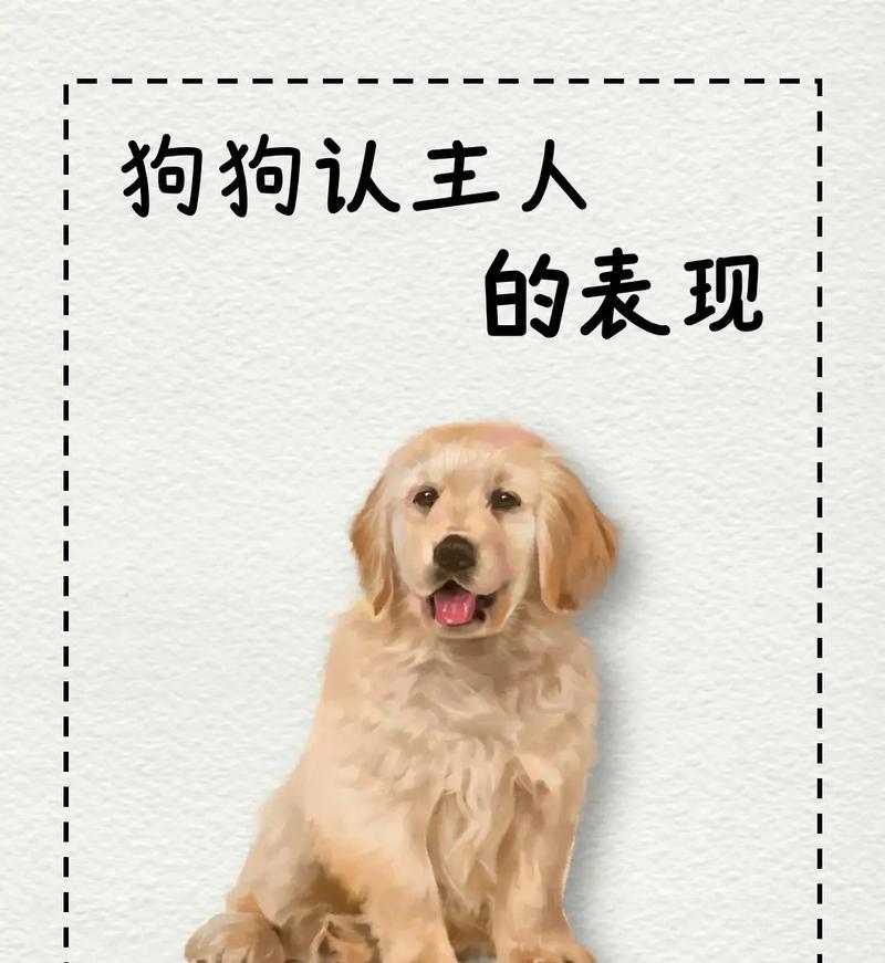 小狗为什么会摇尾巴？（揭秘小狗摇尾巴的真