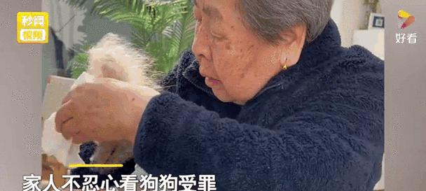 关于狗的安乐死（给予狗以尊严的离别方式）(图1)