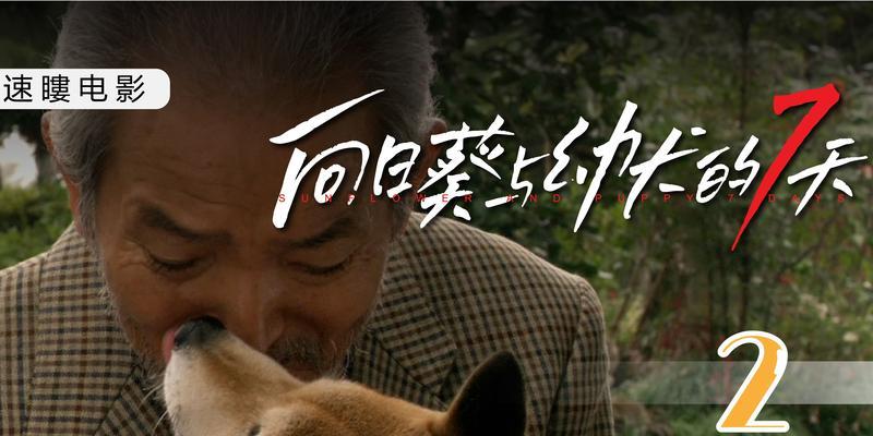 关于狗的安乐死（给予狗以尊严的离别方式）(图2)