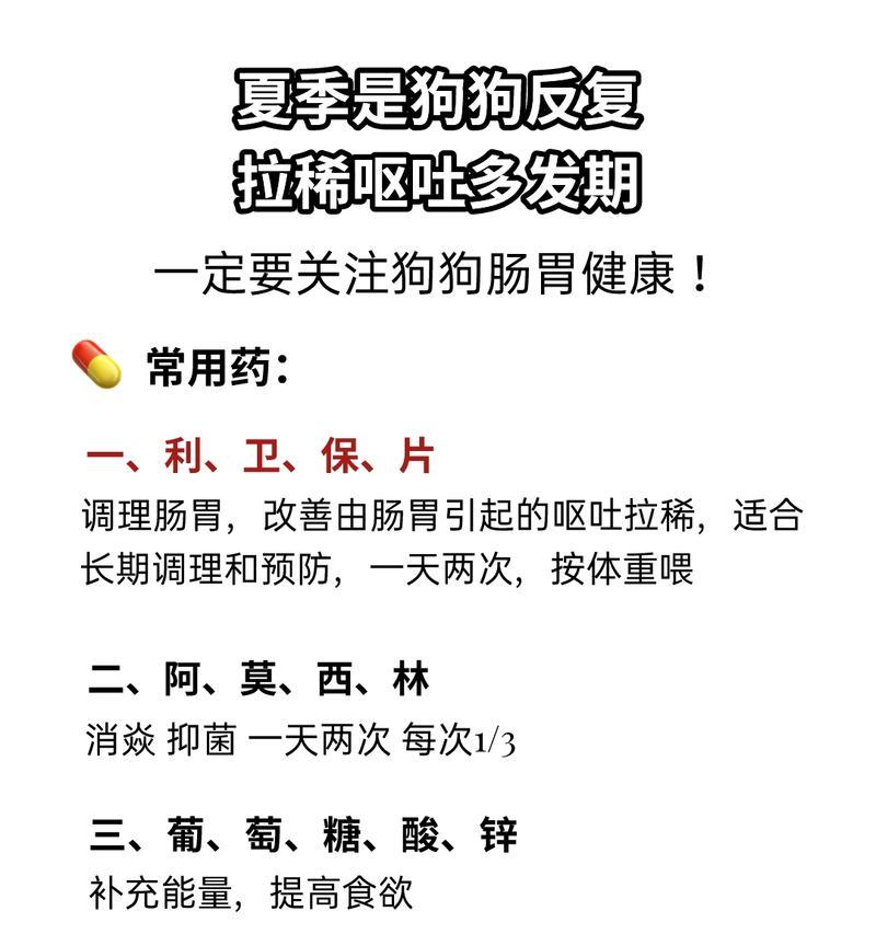 小狗频繁呕吐的原因及处理方法（了解小狗呕吐的背后原因，做好相应处理）(图2)