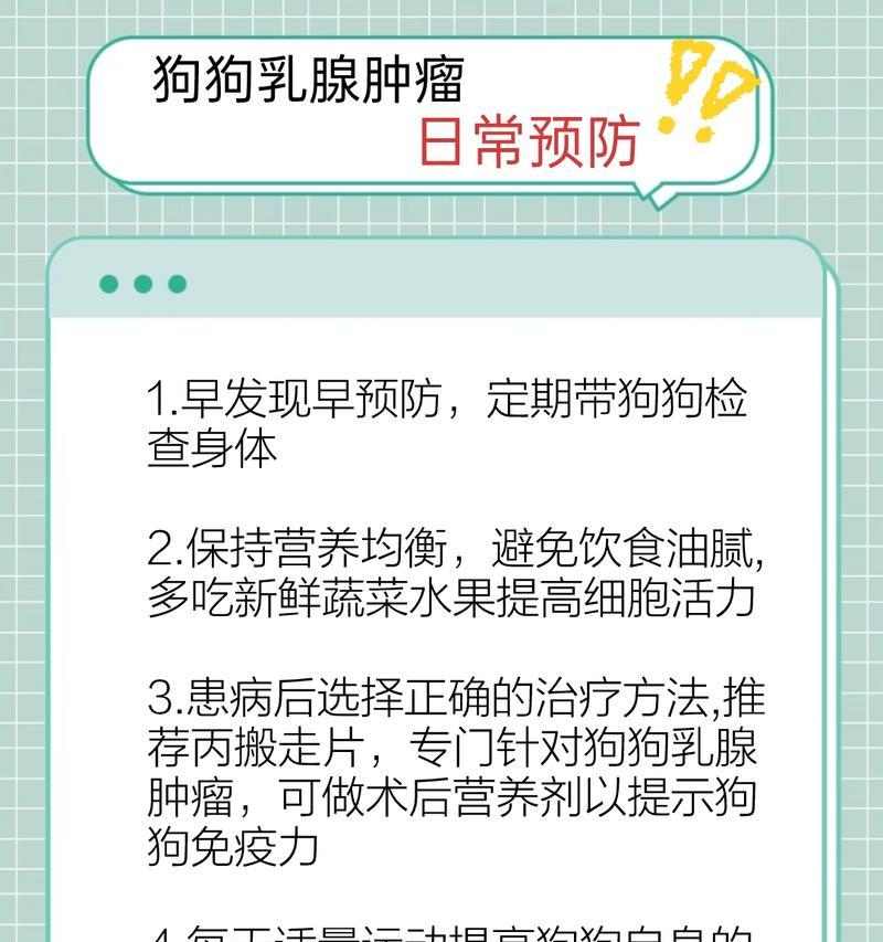 狗狗为什么需要长期用药？宠物健康管理的必要性解析(图2)