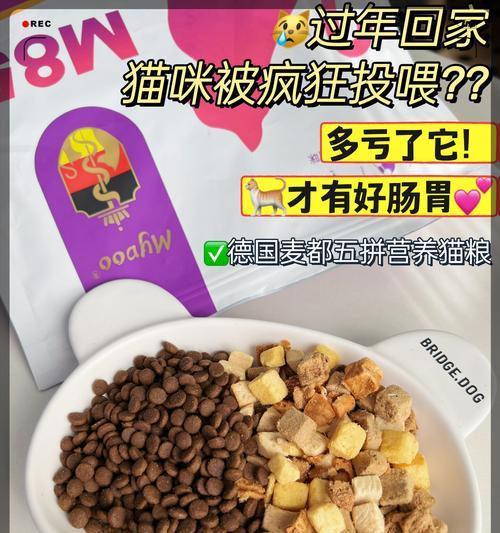 小猫的饮食需求与最佳喂养方式（科学喂养小猫，让它健康成长）(图3)