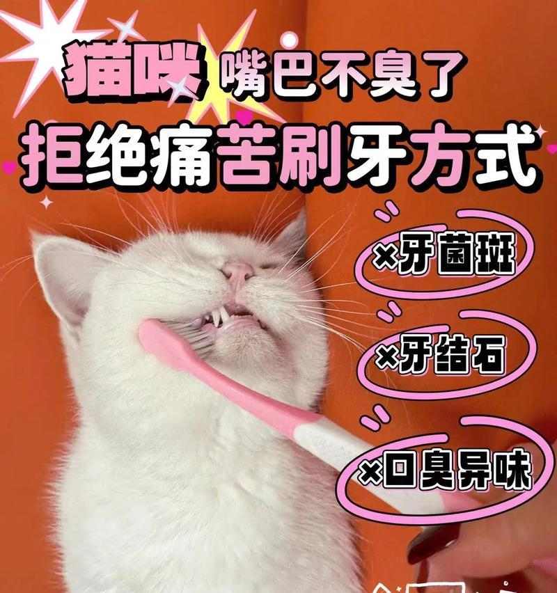 告别口臭烦恼，了解原因与日常预防方法指南(图3)