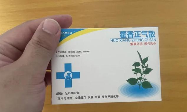 为什么狗一直需要药物治疗（探究狗需要长期用药的原因及影响）(图3)