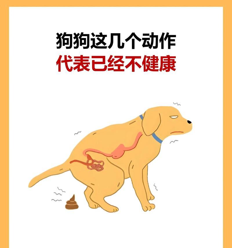 小狗频繁呕吐的原因及处理方法（了解小狗呕吐的背后原因，做好相应处理）(图3)