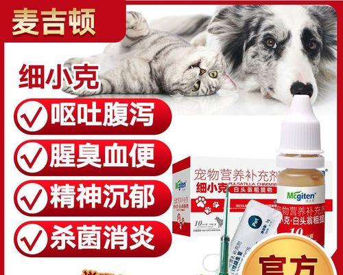 小狗呕吐拉肚子，如何选择合适的药物？（了解病因，正确用药，保护小狗健康）(图2)