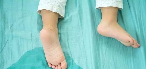 拉屎为什么和尿尿一样？（探究排泄过程的相似性与差异）(图2)