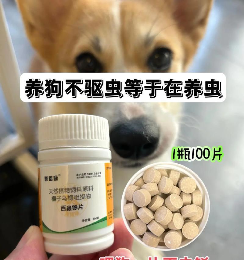 给小狗打虫子的药物选择（了解小狗打虫药物的种类和使用方法，保护它们健康成长）(图2)