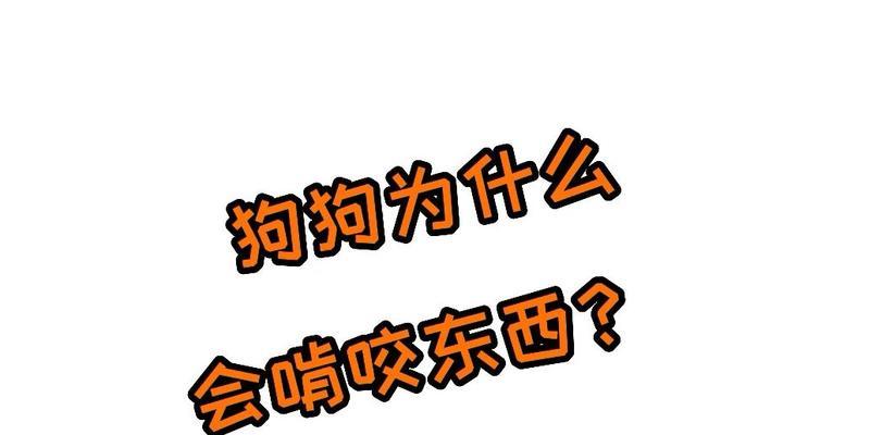 为什么狗狗喜欢咬东西？（探索狗狗咬东西的原因及解决办法）(图2)