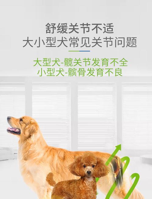 以德牧幼犬如何补钙（补钙是幼犬健康发育的关键，关注以下关键事项）(图3)