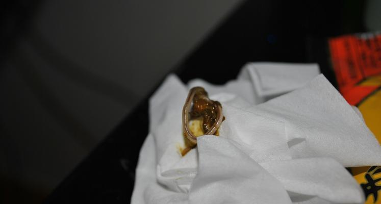 揭秘狗狗体内的细长虫子（探究引发狗狗肠道问题的罪魁祸首）(图2)