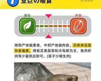 亚洲巨龟的饮食习性(以野外亚洲巨龟吃什么为中心的饮食研究)(图2) 亚洲巨龟的饮食习性(以野外亚洲巨龟吃什么为中心的饮食研究)(图2)