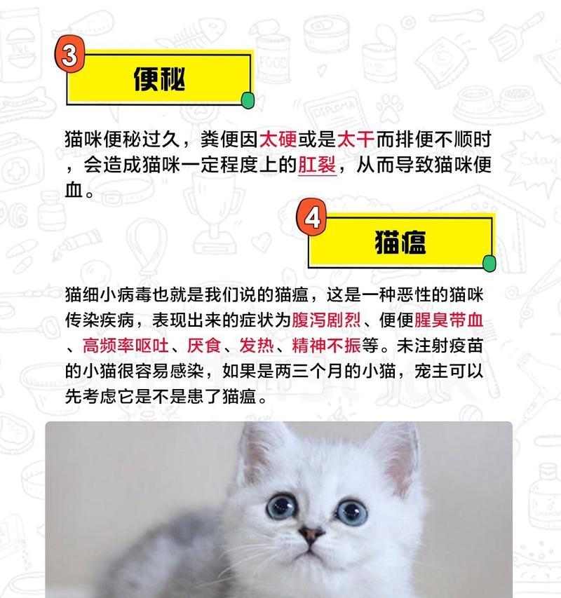如何帮助猫咪缓解拉肚子的困扰？（解决猫咪拉肚子的问题）(图2)