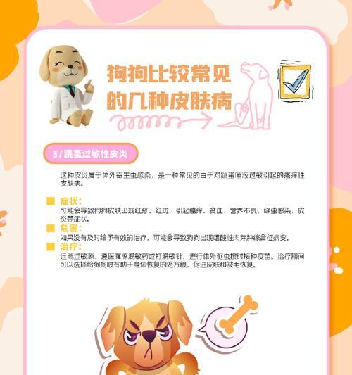 为皮肤病的狗选择适当的饮食（了解狗狗皮肤病情况，合理选择食物保持健康）(图2)