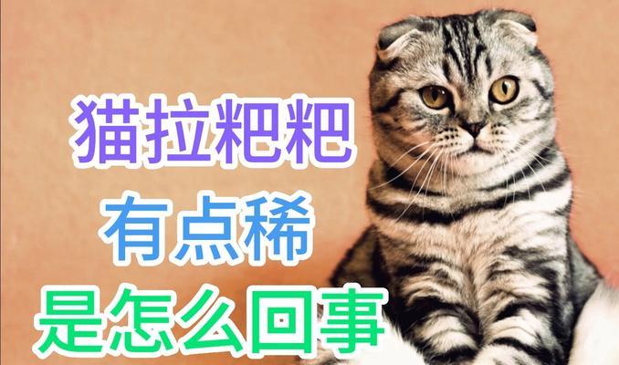 猫的粪便特征及其健康指标（探究猫的排便习惯和健康状况，了解什么是正常的猫粪便）(图2)