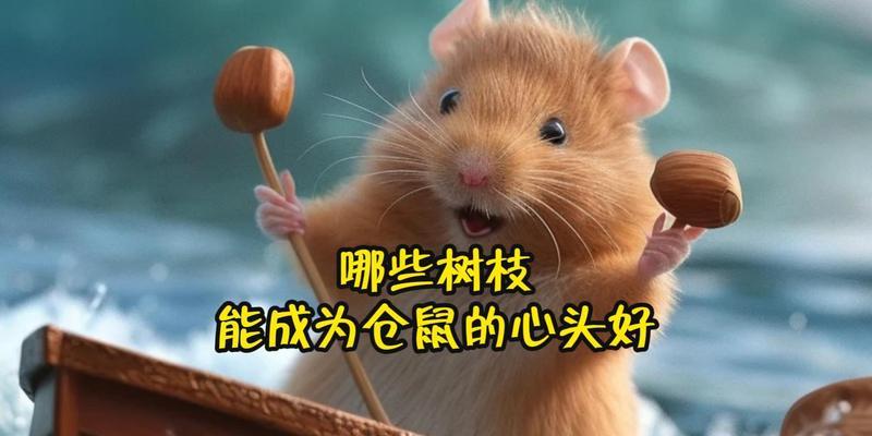 仓鼠磨牙的重要性及适用工具选择(图1)