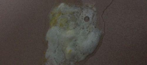 狗鼻子有白色鼻涕的原因解析（了解狗鼻子白色鼻涕的成因和应对方法） - 悠悠酷狗网