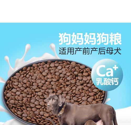 如何帮助母狗增加乳汁分泌？（母狗下奶的有效方法及相关注意事项）(图2)