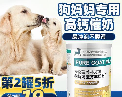 如何帮助母狗增加乳汁分泌？（母狗下奶的有效方法及相关注意事项）(图3)