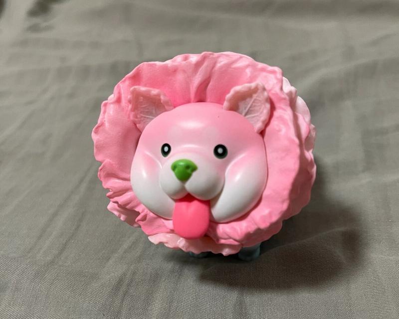 为什么狗的鼻子是粉色的？背后的科学揭秘(图2)