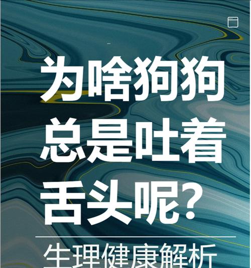夏天狗狗呕吐的原因与有效预防方法推荐(图2)