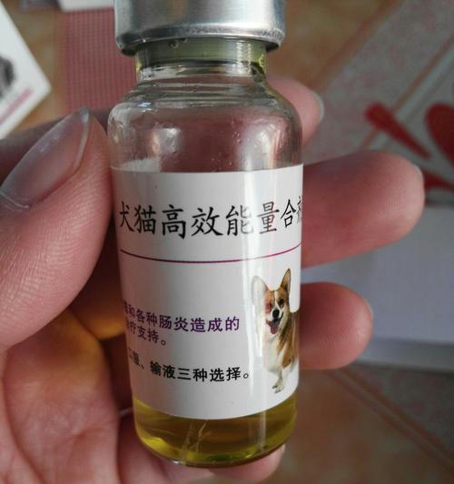 以狗得细小输液的主要药物(了解为狗进行细小输液所用药物的种类和效果)(图2) 以狗得细小输液的主要药物(了解为狗进行细小输液所用药物的种类和效果)(图2)