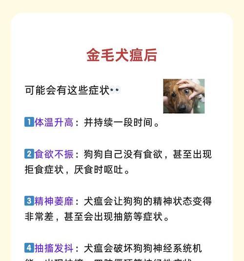犬瘟晚期症状详解与护理建议，帮助宠主应对关键阶段(图1)