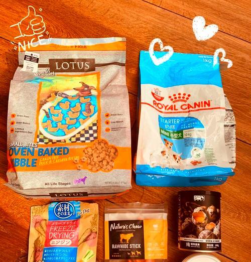 养护比熊幼犬的15个关键技巧与贴心养育指南(图2)