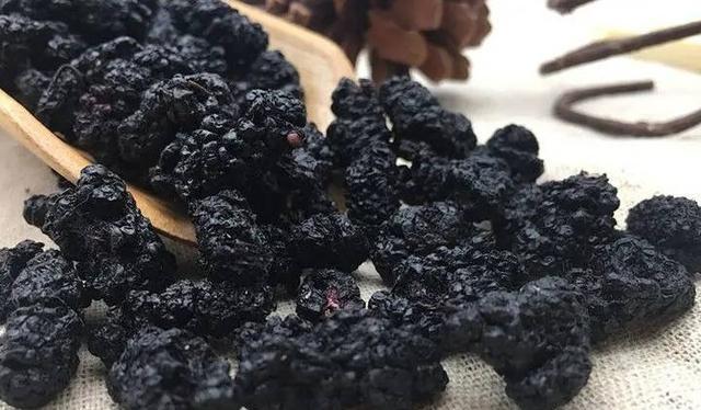 揭秘狗狗便便为什么是黑色的（黑色的狗狗便便究竟是什么引起的？）(图1)