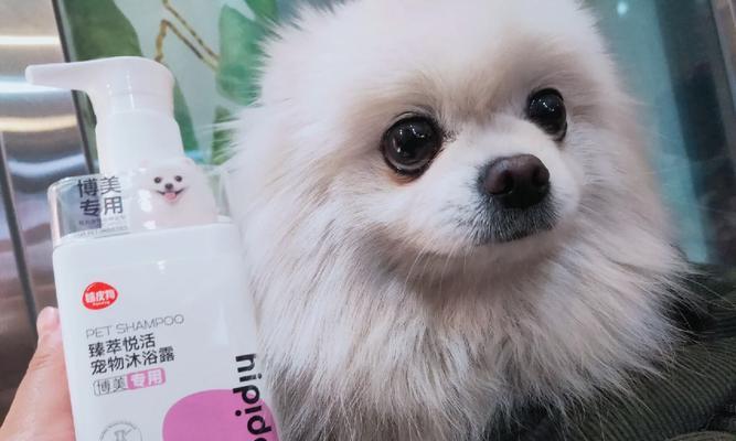 小博美洗澡指南：正确护理让宠物健康又美丽 - 悠悠酷狗网