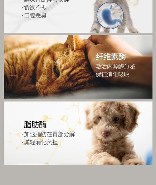 狗狗肠胃宝的作用与正确使用指南，守护宠物消化健康(图3)