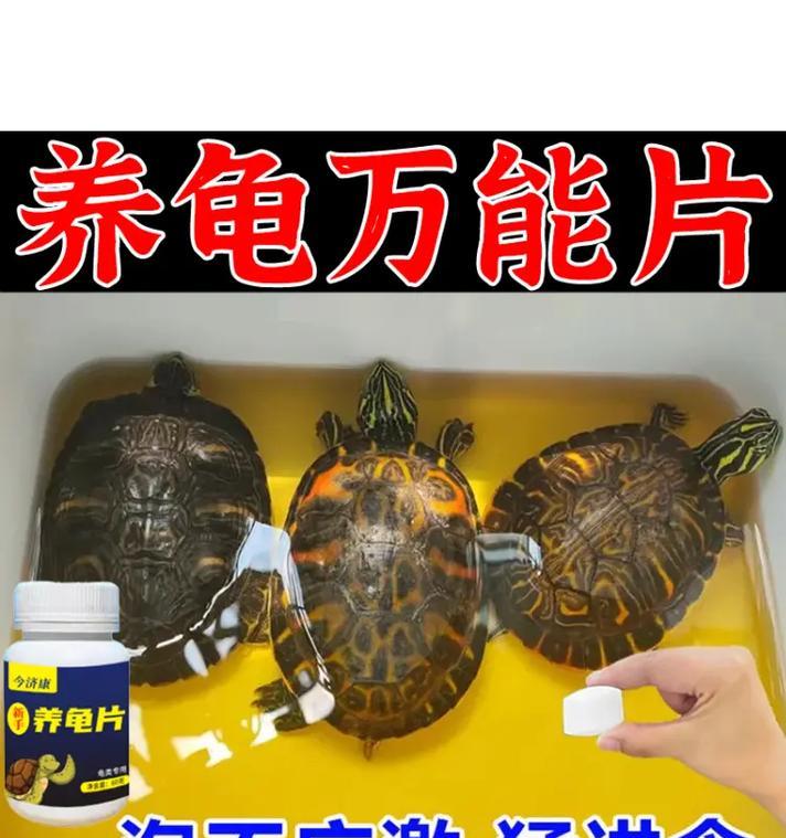 乌龟水质意义深远(探索乌龟水质的重要性及影响因素)(图3) 乌龟水质意义深远(探索乌龟水质的重要性及影响因素)(图3)